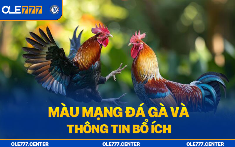 Màu mạng đá gà và những thông tin bổ ích