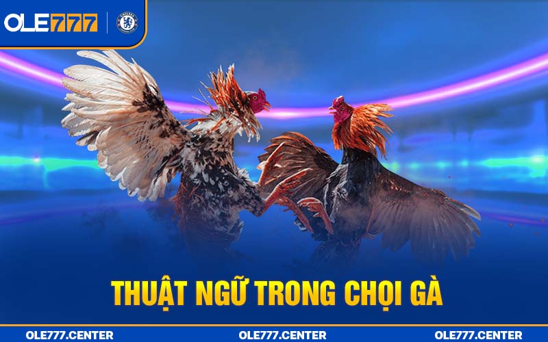 Các thuật ngũ trong trận đấu cũng vô cùng quan trọng